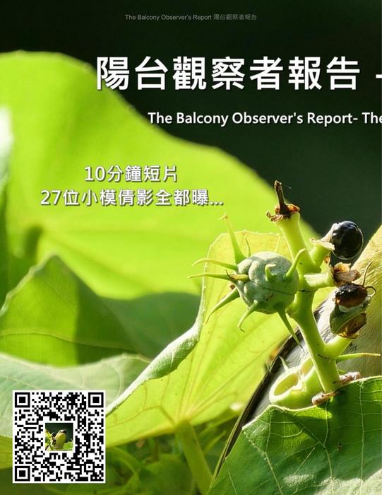 bor_tsao_vol_10s_20230125 bor_tsao_vol_10s_20230125