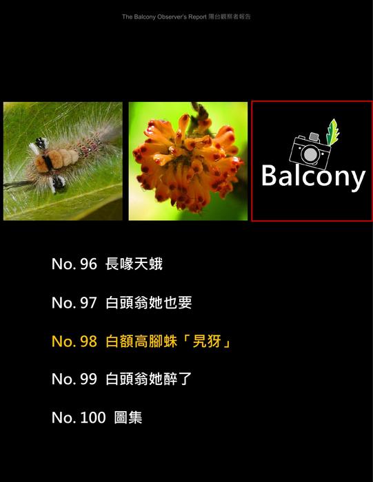 bor_tsao_vol_10s_20230125 bor_tsao_vol_10s_20230125