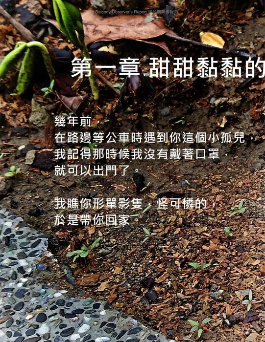 bor_tsao_vol_19_s1_20240215 bor_tsao_vol_19_s1_20240215