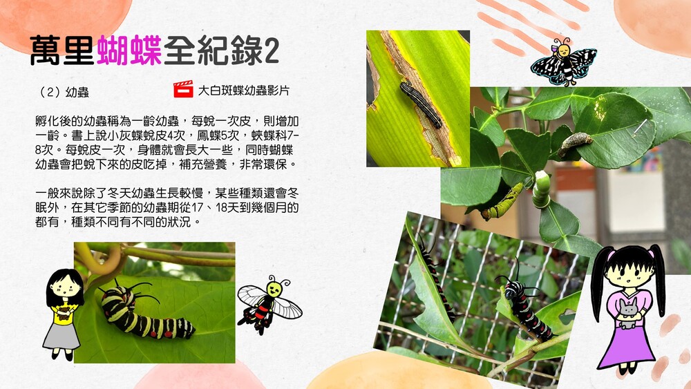 投影片4 投影片4