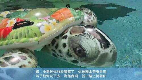 seeturtle0325 seeturtle0325