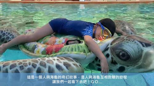 seeturtle0325 seeturtle0325