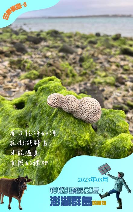 封底:我們明年見 封底:我們明年見