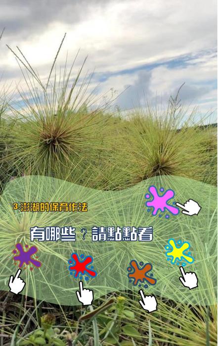 3.澎湖的保育環境作法 3.澎湖的保育環境作法